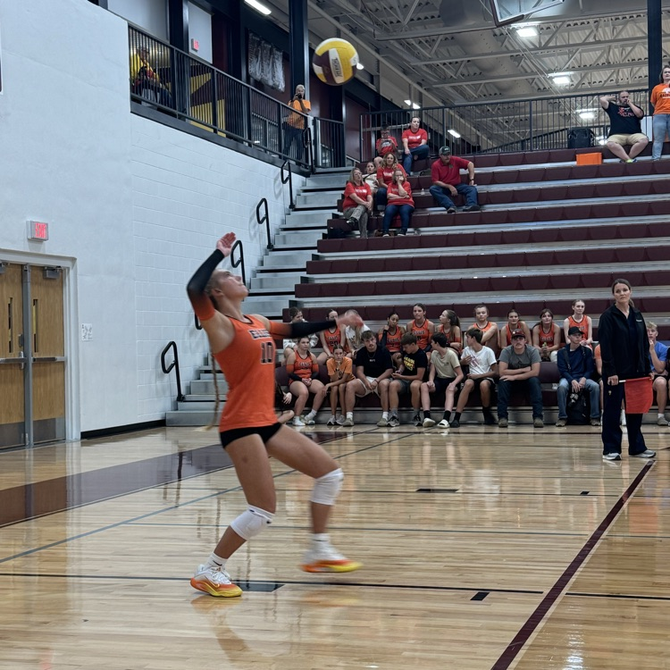 vb