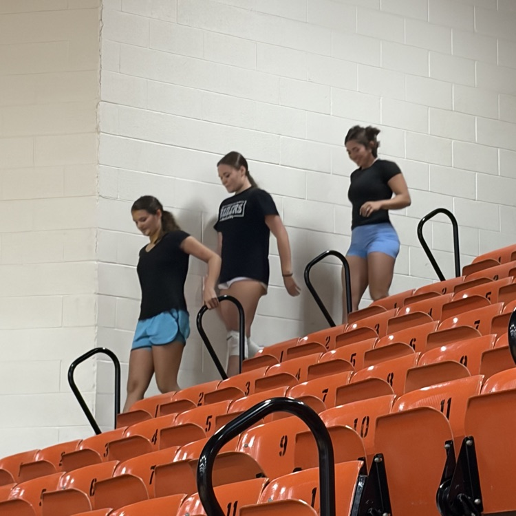 vb