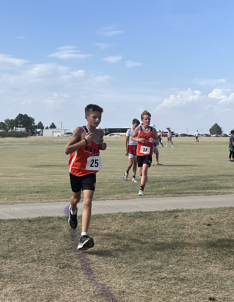 Ellis XC