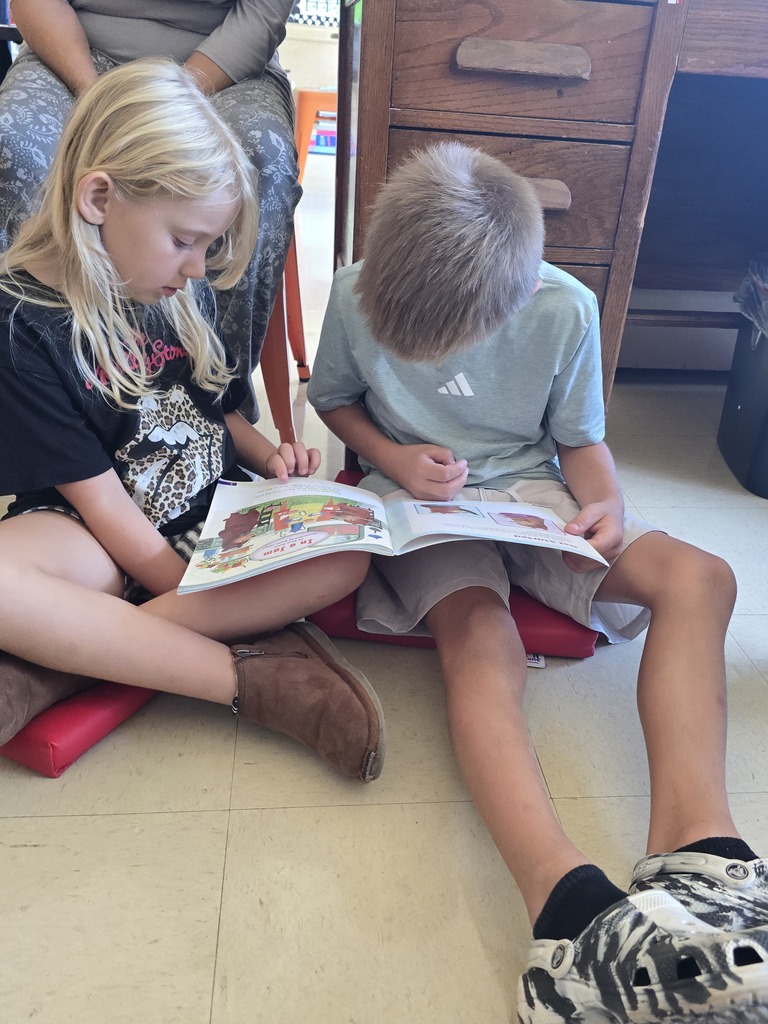 partner reading in primary