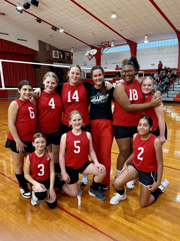 whole team