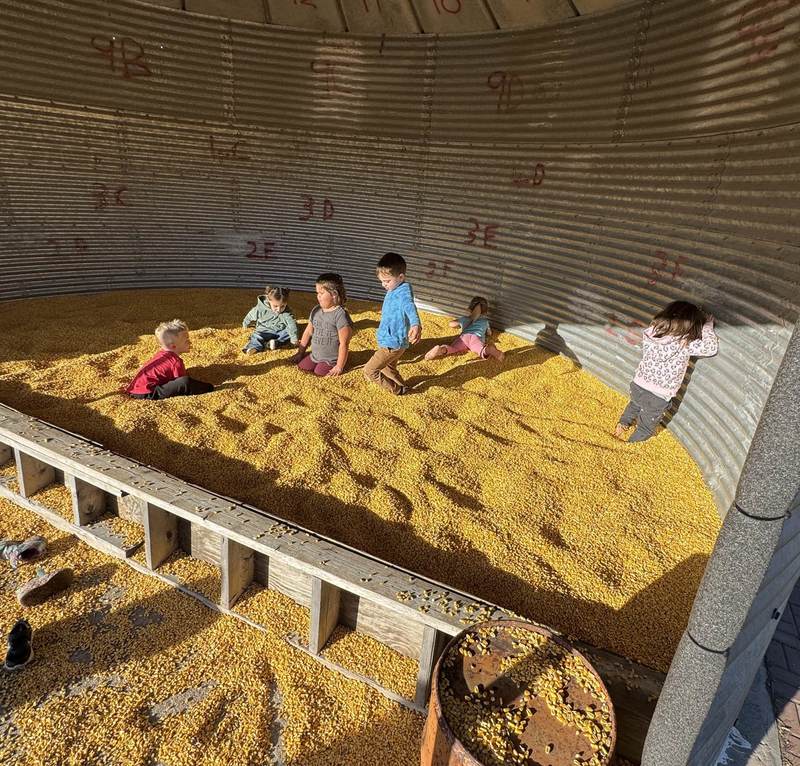 Pumpkin patch fun in the grain bin