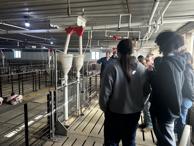 They loved holding the baby pigs!