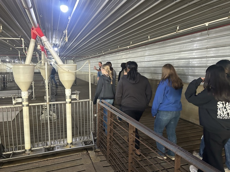 They loved holding the baby pigs!