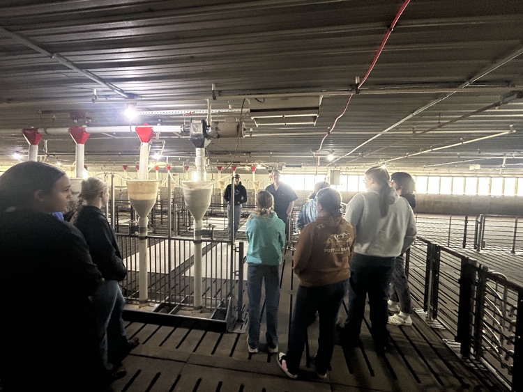 They loved holding the baby pigs!