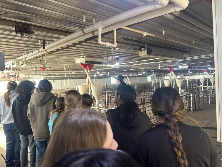 They loved holding the baby pigs!