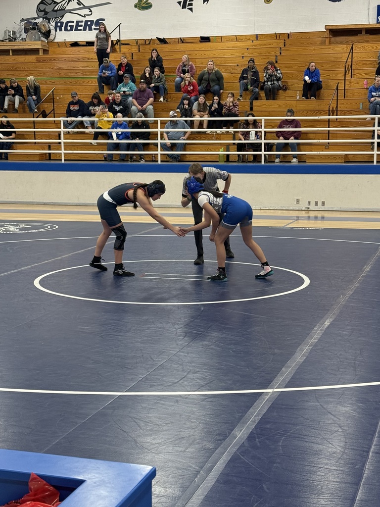 Two wrestlers shake hands in the center of a blue mat. One wears a black singlet, and the other wears blue. Spectators watch from bleachers.