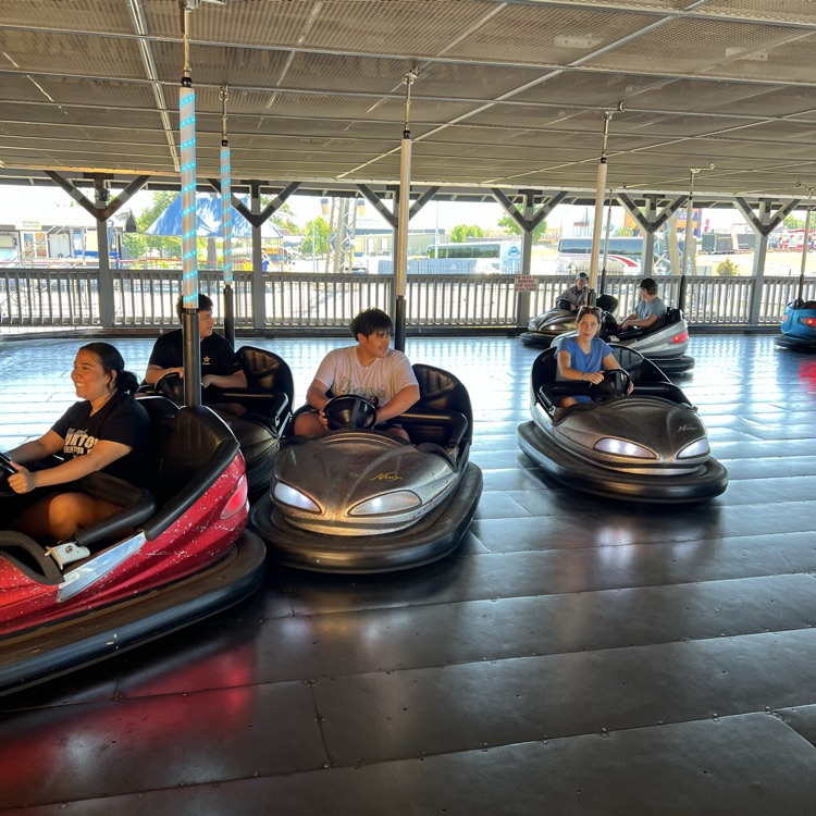 Bumper cars