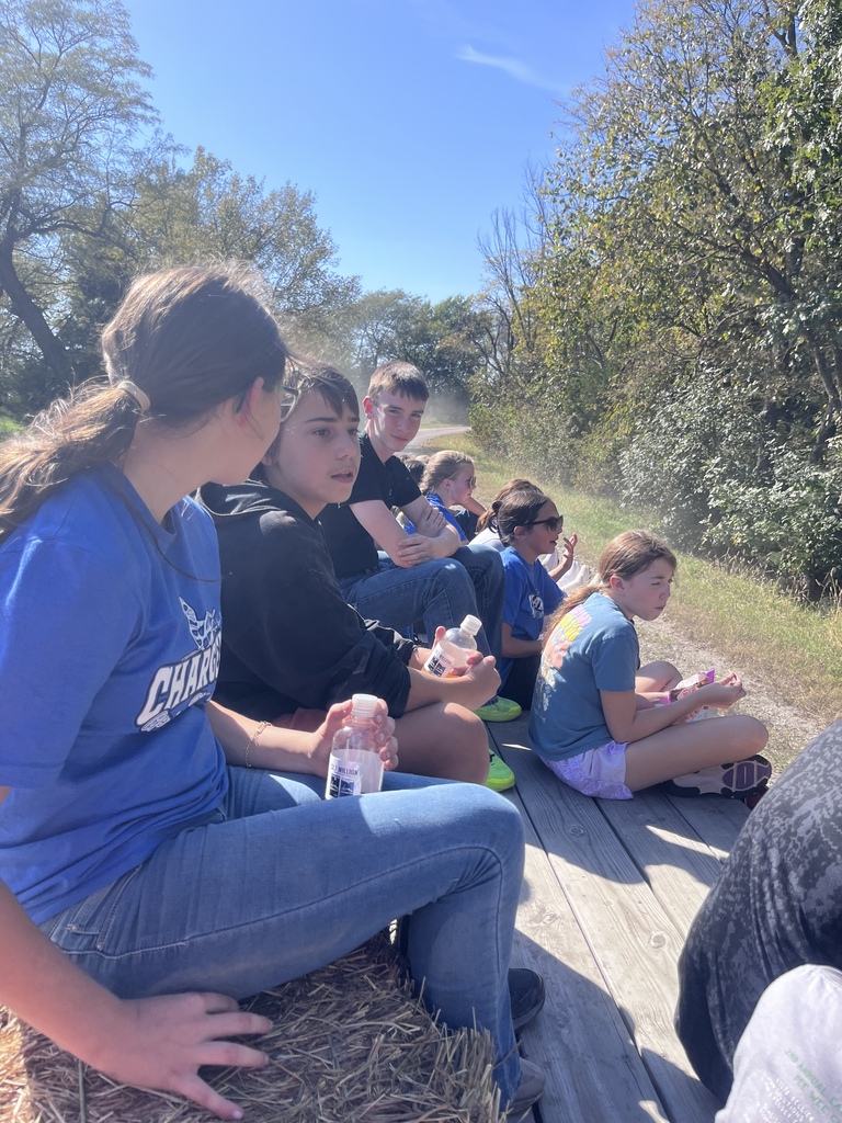A group of young people sit on hay bales in a forest, wearing casual clothes. They seem to be on a trip.