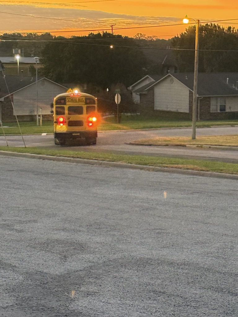 School bus with rear lights on sits at intersection in neighborhood. Sky is orange.