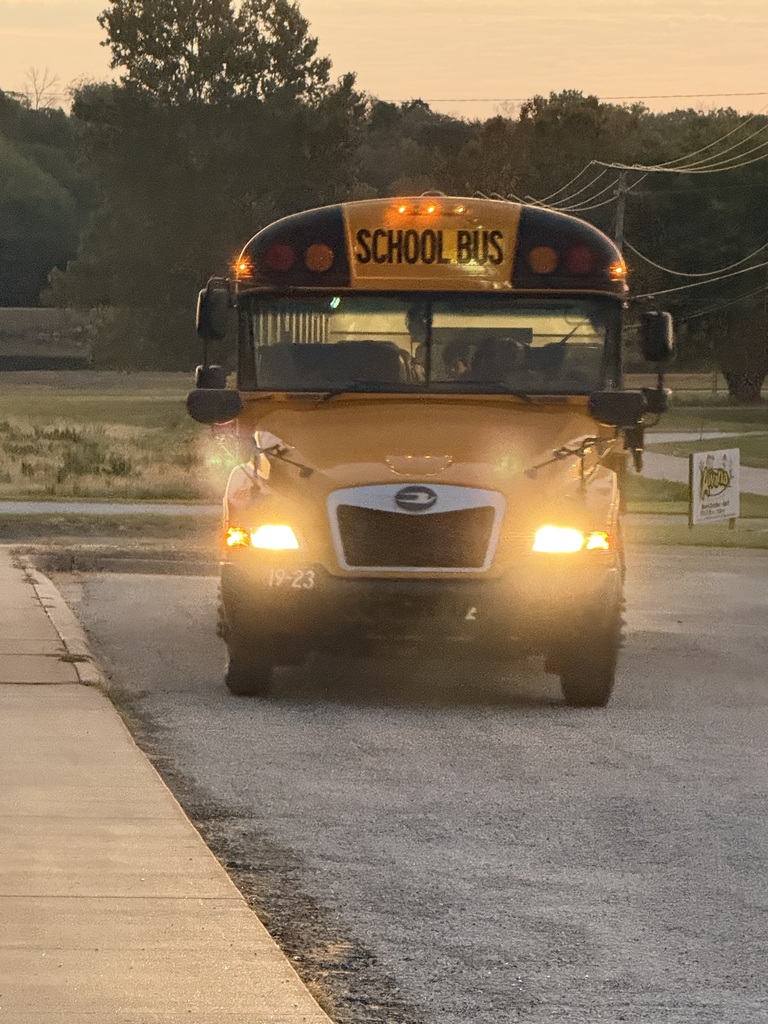 A yellow school bus on a paved road, headlights on, parked at the curb.