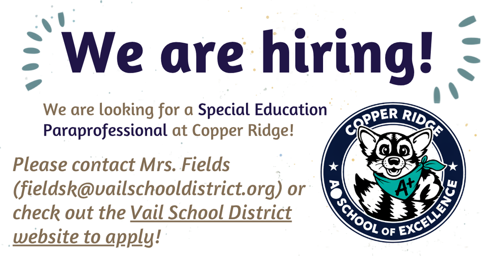We are hiring, we are looking for a Special Education Paraprofessional