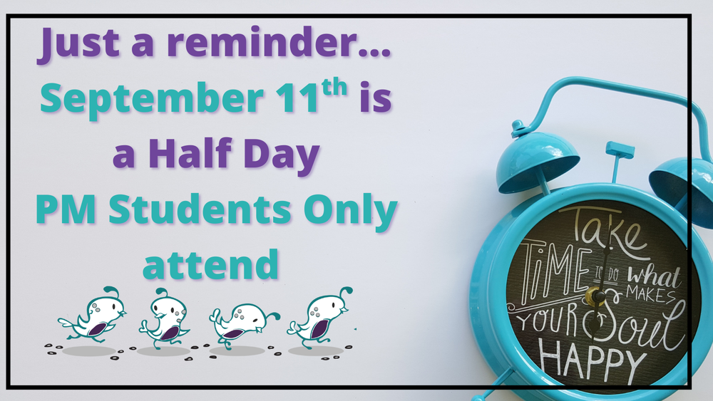 VIP Half Day