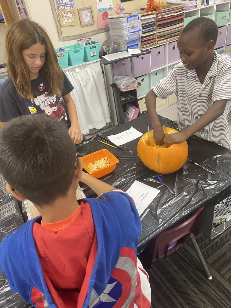 Halloween Pumpkin Experiments