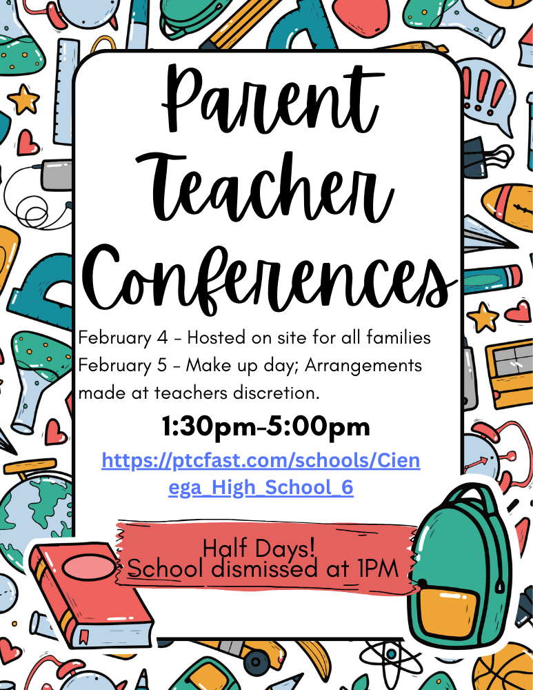 Parent Teacher Conferences (15)