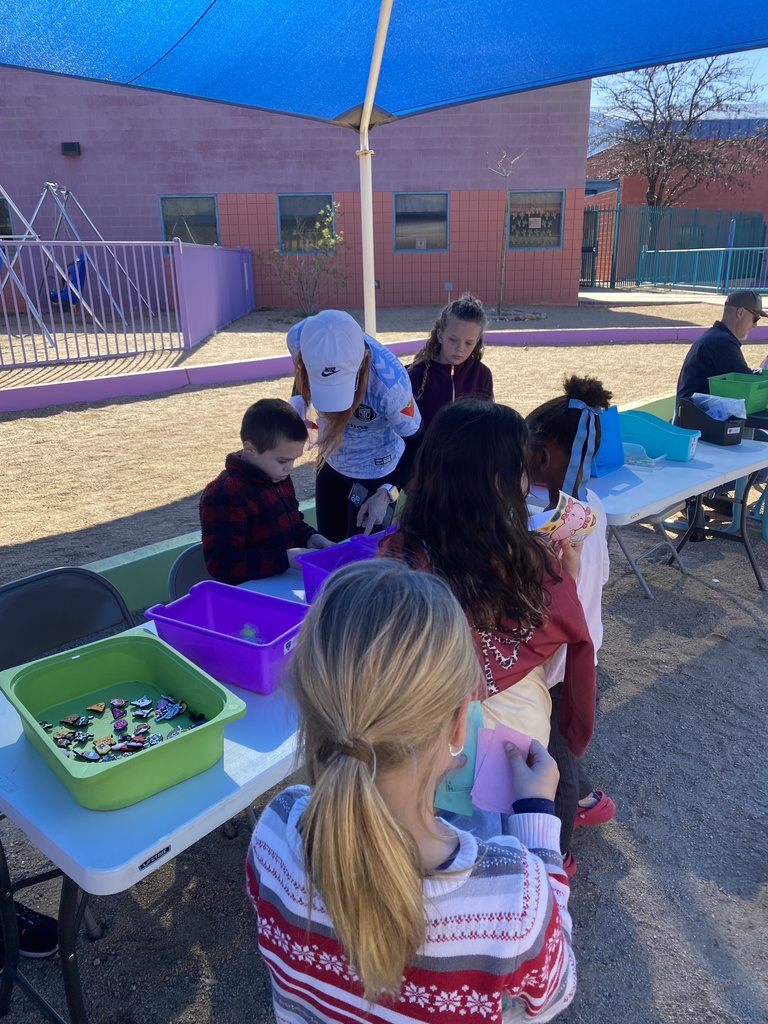 January Diamondbuck Store