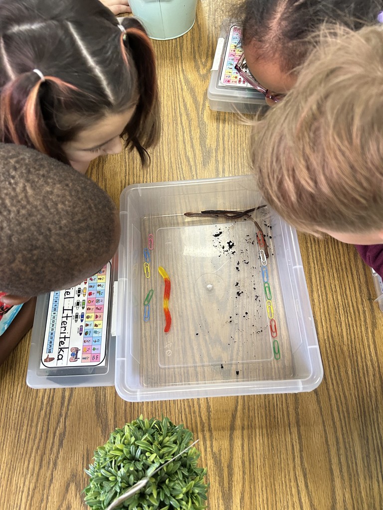 Kindergarten Worm Science