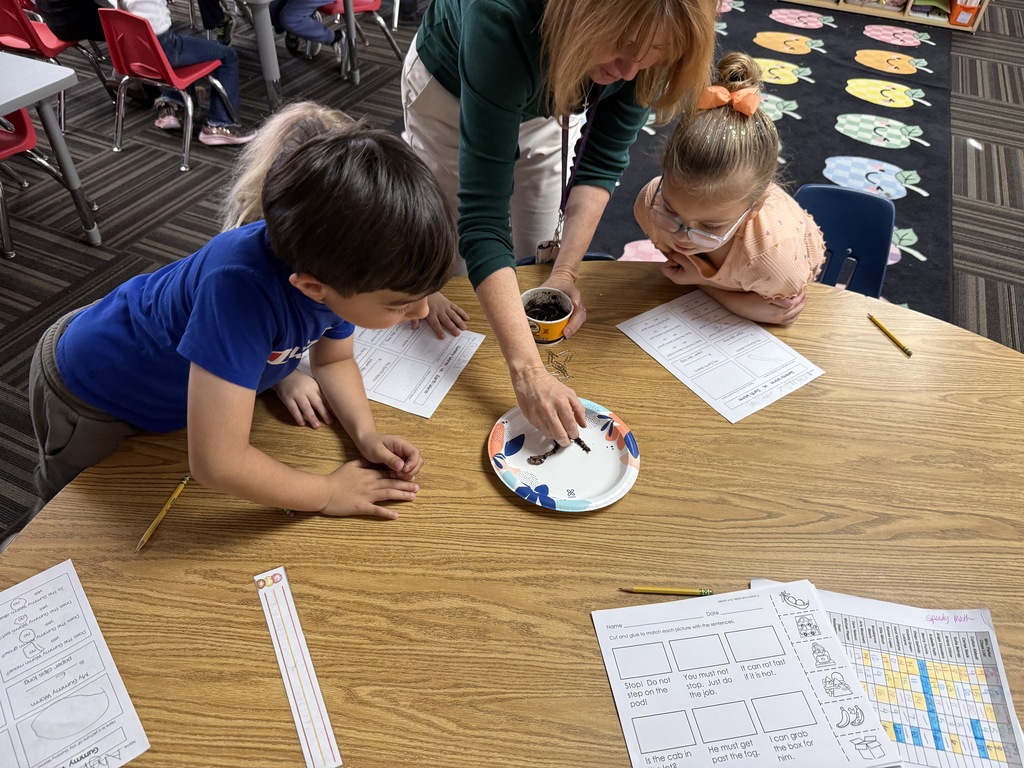 Kindergarten Worm Science