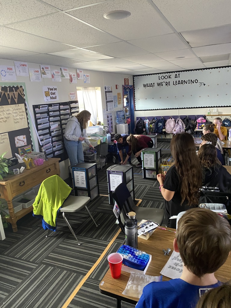 5th Grade Bobsledding