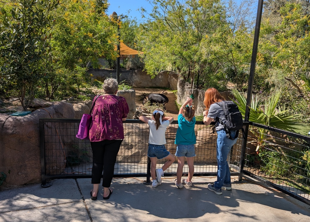 Kindergarten Zoo Field Trip