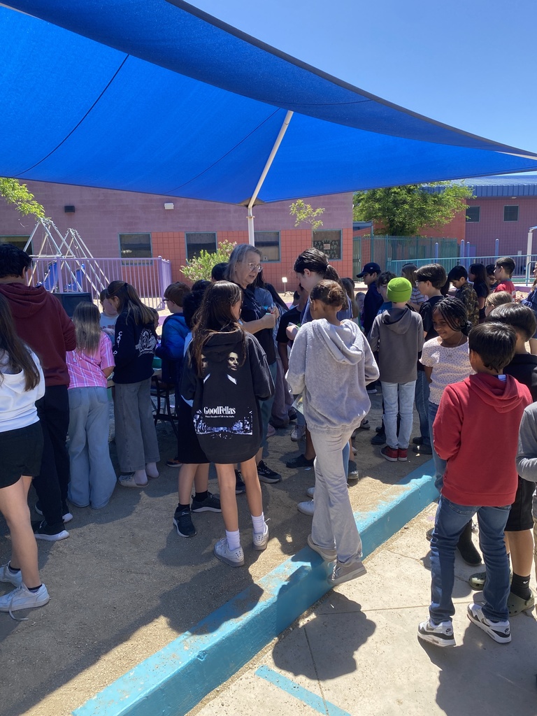 May Diamondbuck Store