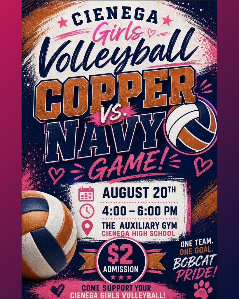 Girls Volleyball Game