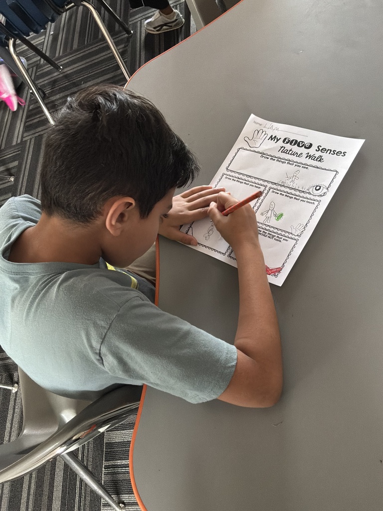 STEM Senses