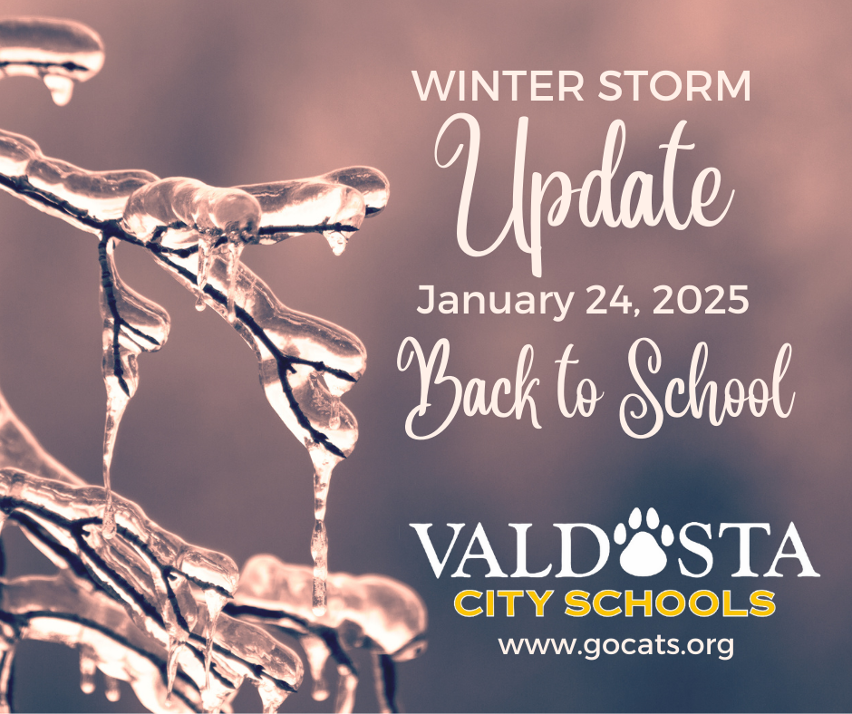 VCS Winter Storm Weather Update