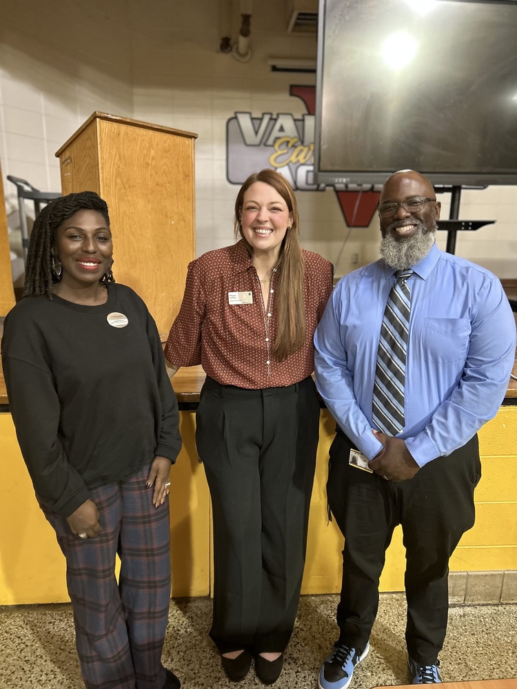 Director of the Virtual Academy with guest speakers