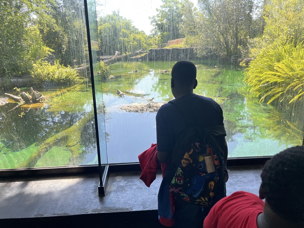 student looks at enclosure through window