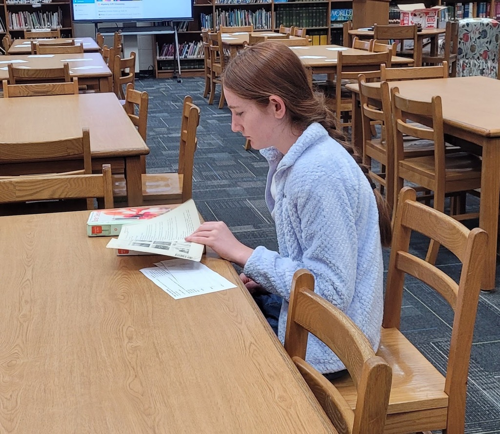 Students reading in the library at VMS