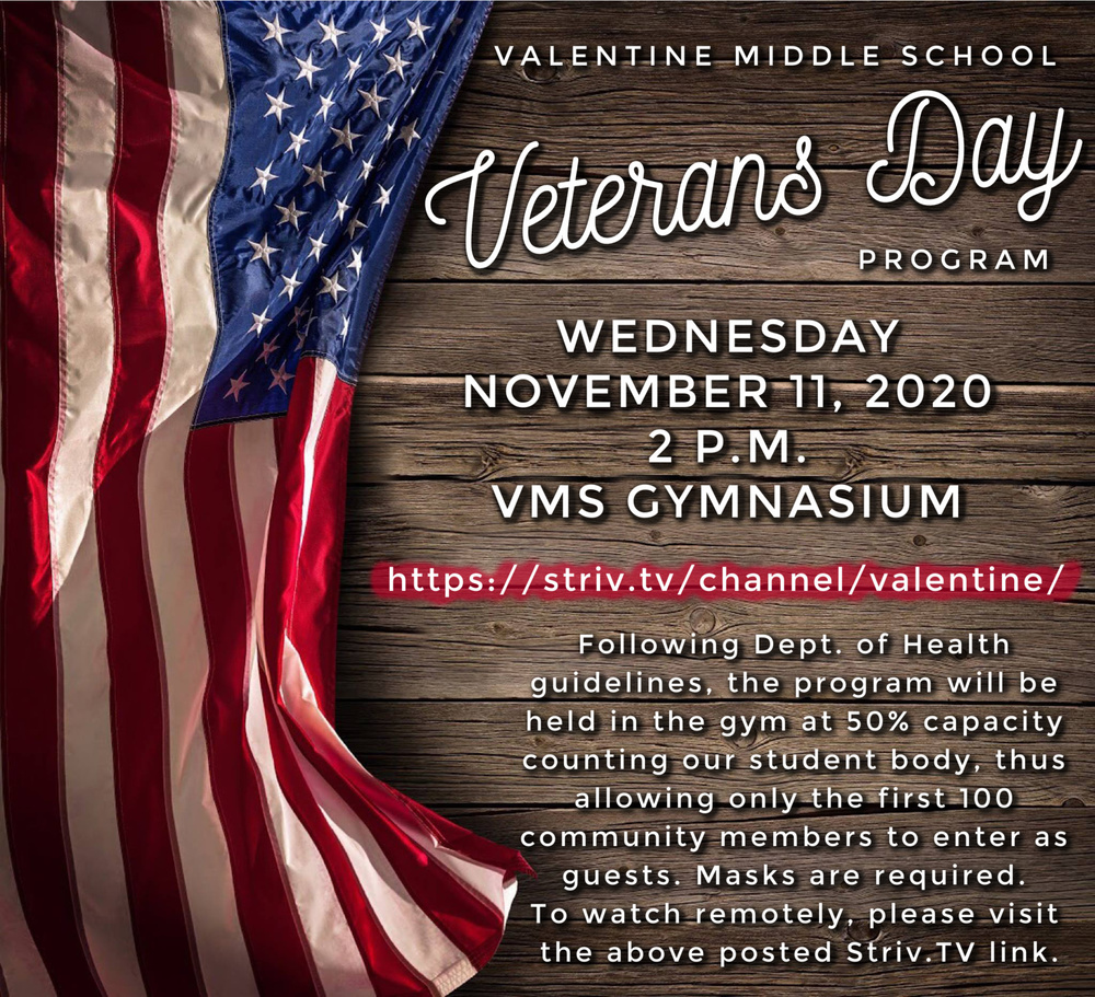 VMS Veterans Day Program