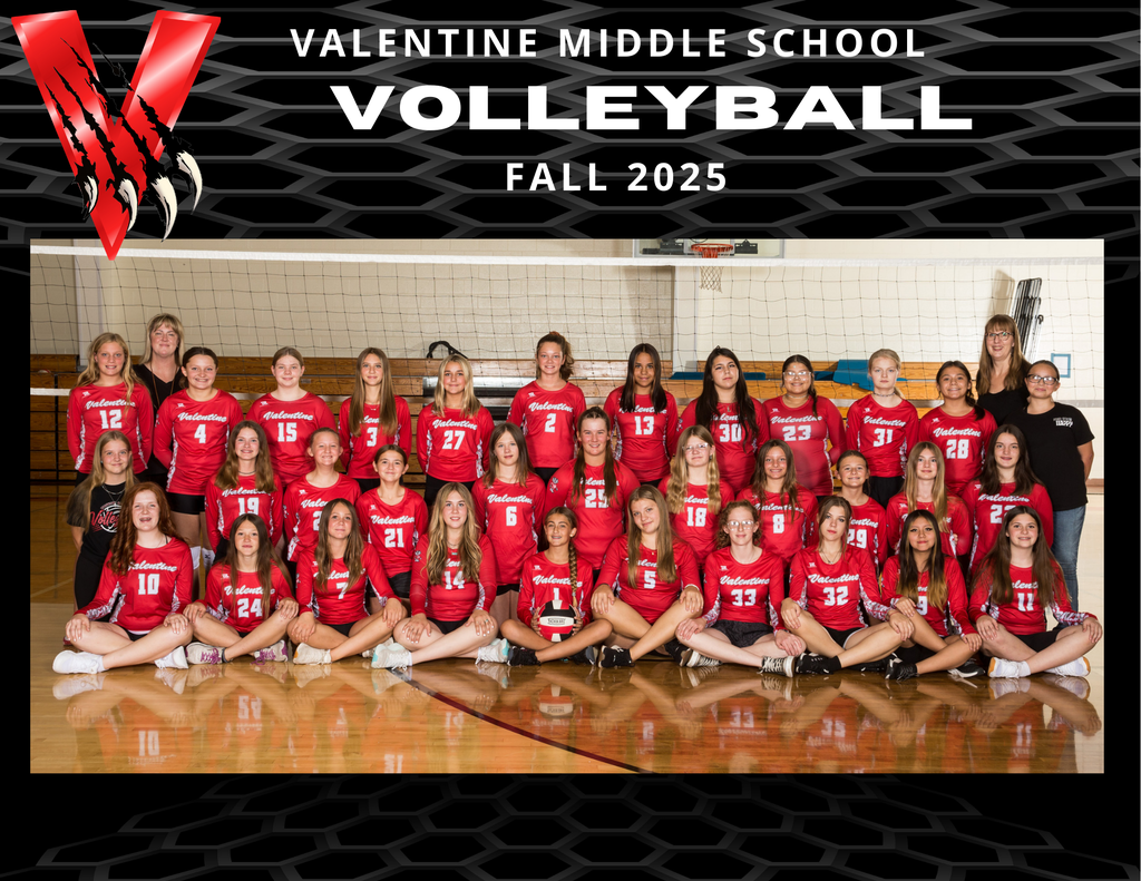 vb