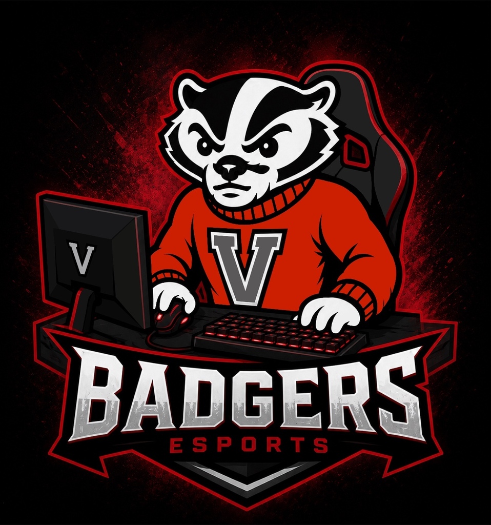 2026 Valentine Esports