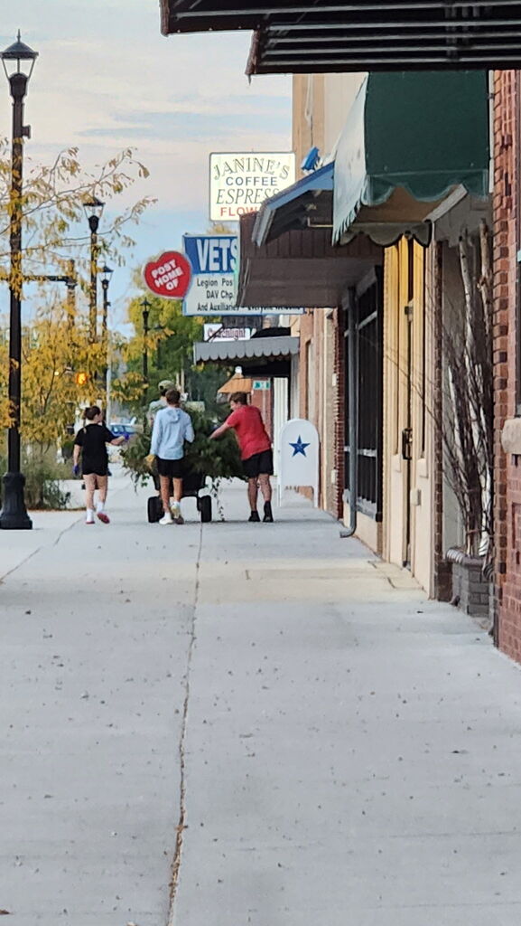 Students trimming bushes and pulling weeds from city streets.