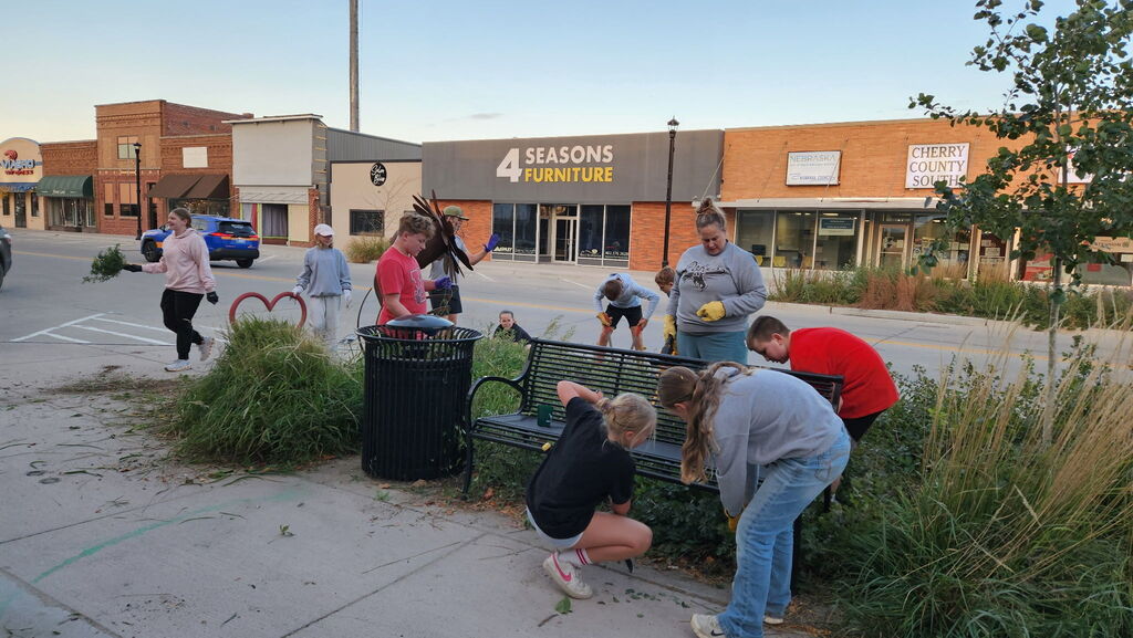 Students trimming bushes and pulling weeds from city streets.