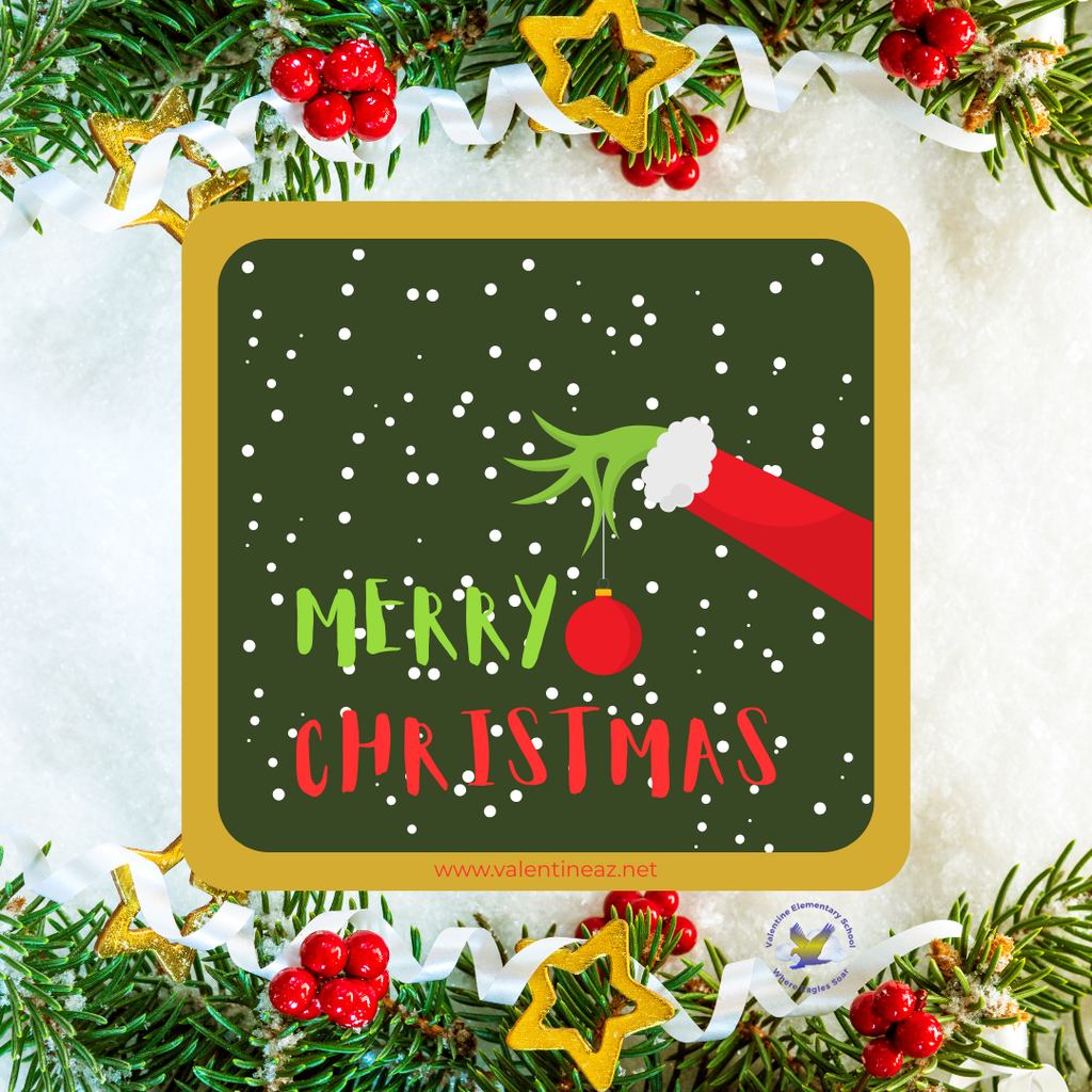 Merry Christmas from our VESD Family to Yours