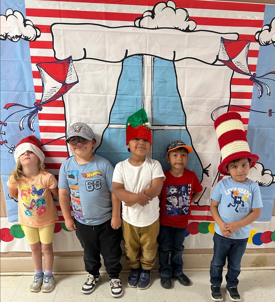 cat in the hat favorite hat