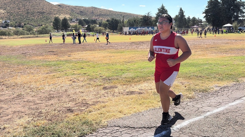 XC in Alpine