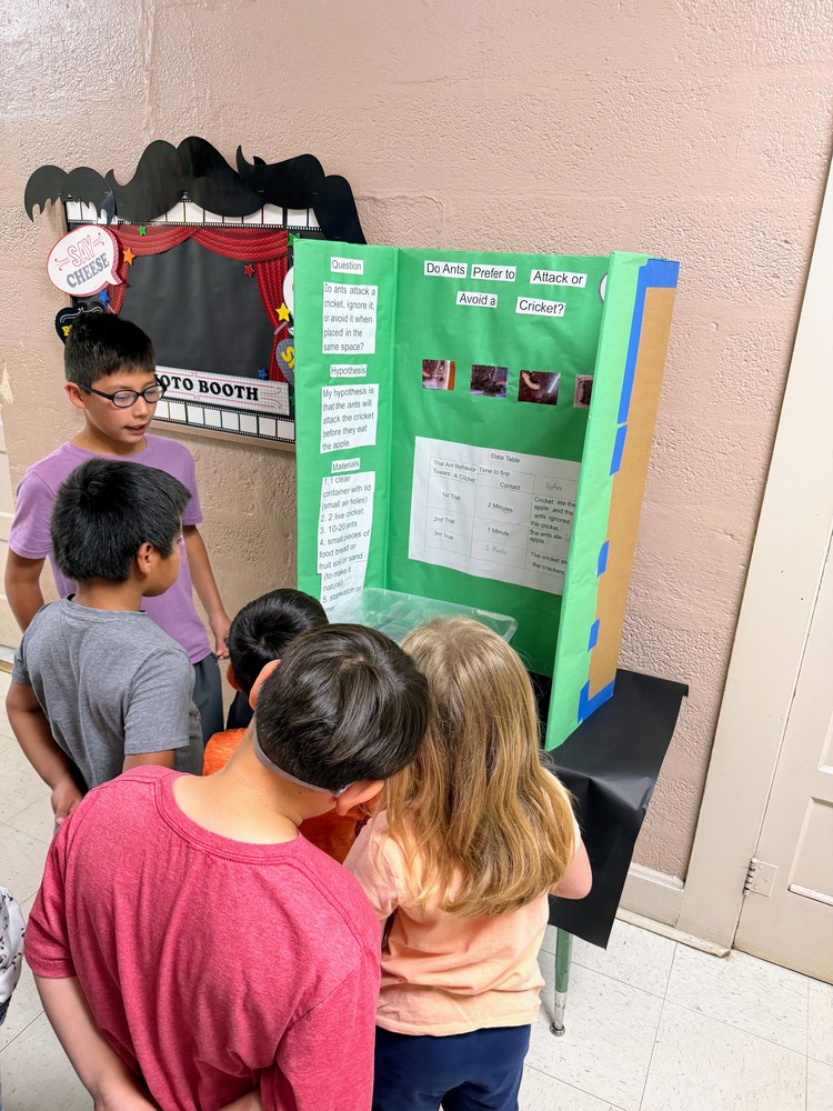 Jordan's Science Project