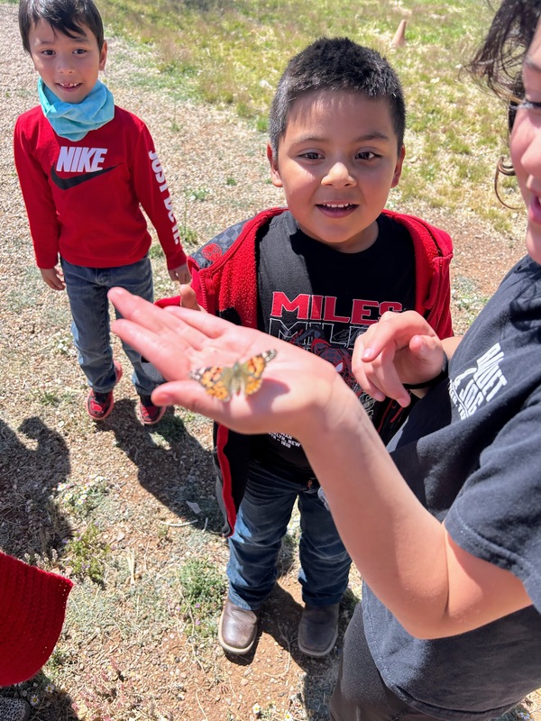 Bo and the buttertfly