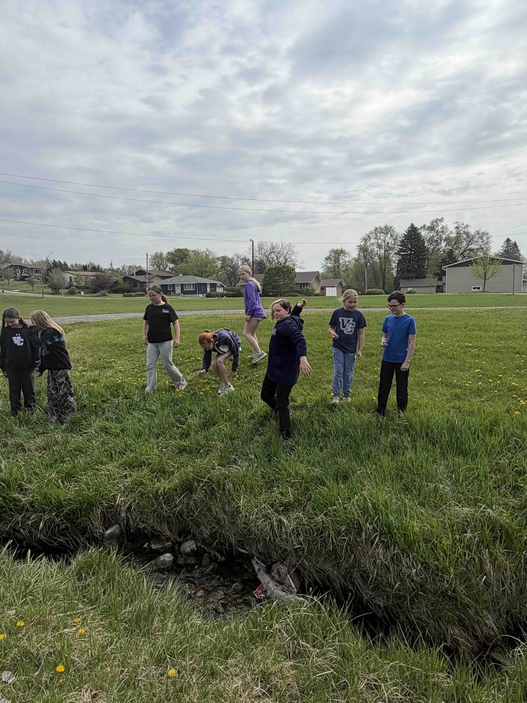 Wildflower