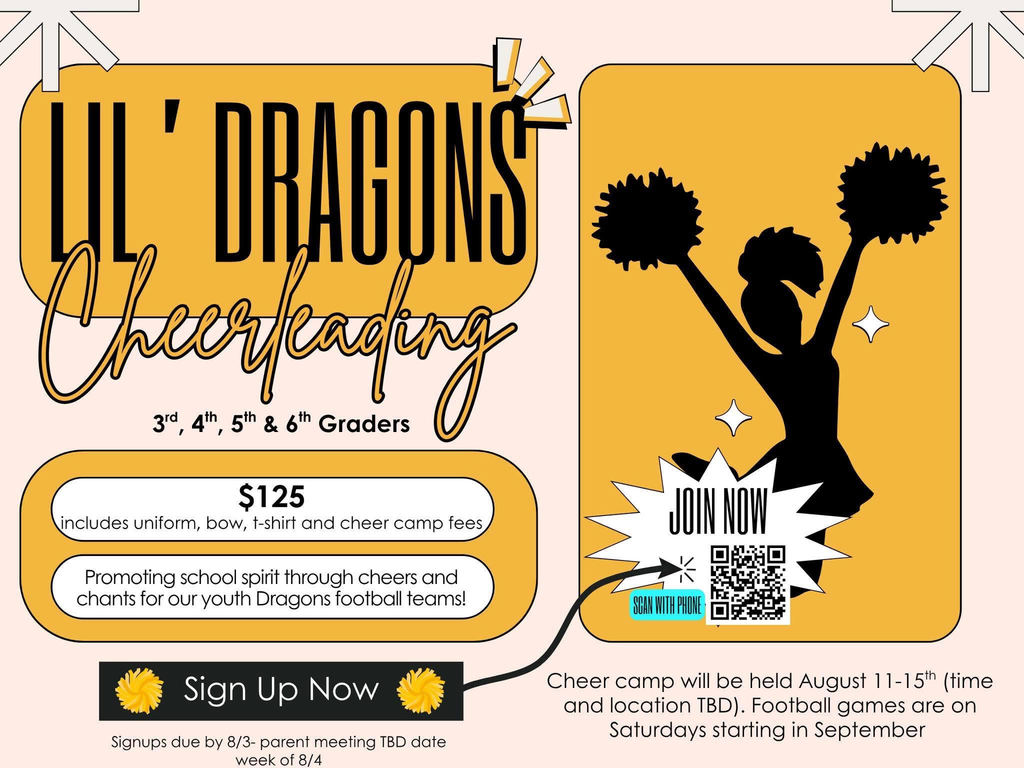 Lil' Dragons Cheerleading