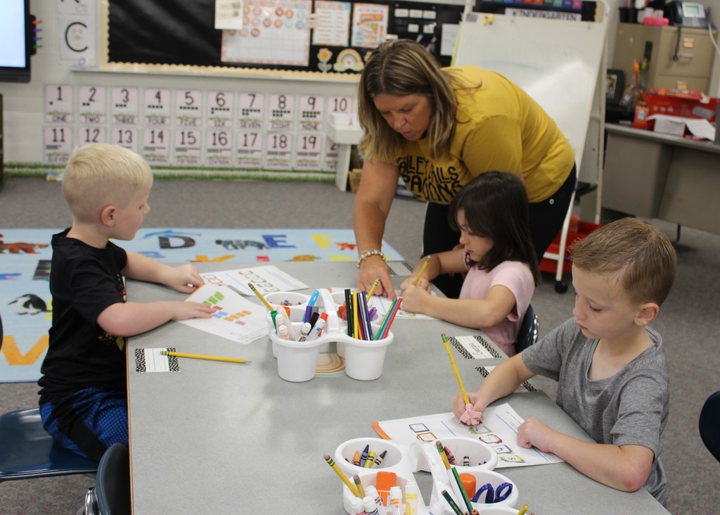 Janet Nellis helping students