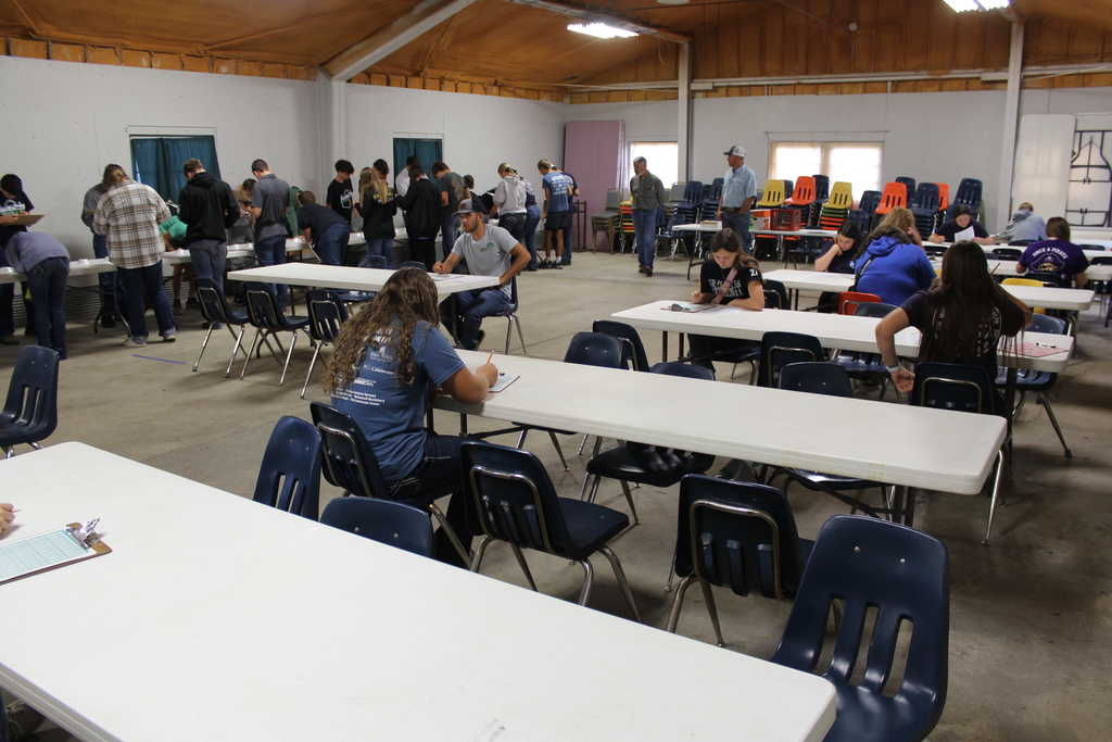 Judging in Fair Building