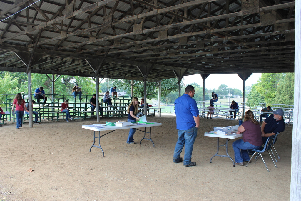 Show Ring Judging