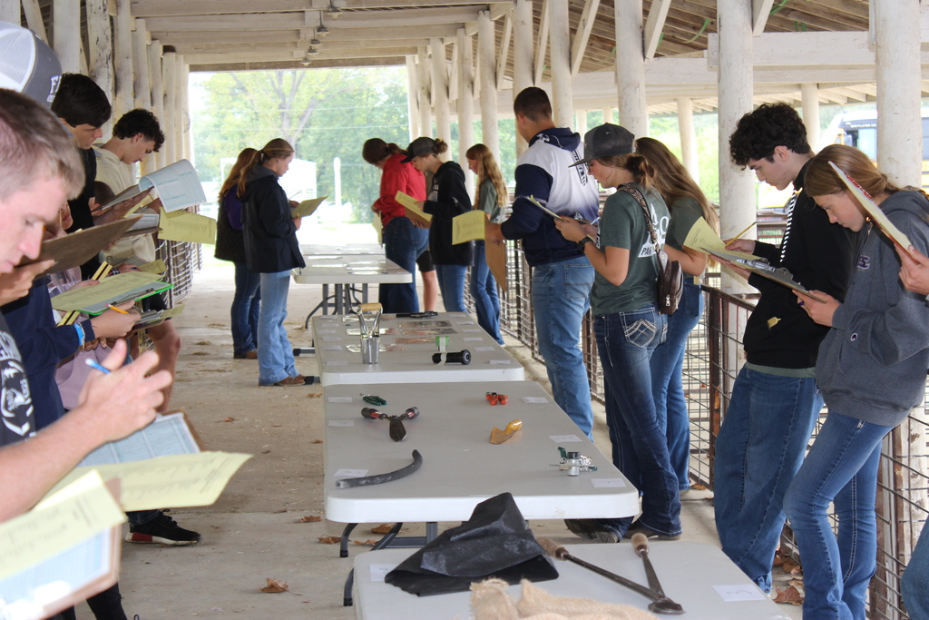 Judging Line Inside Animal Bldg.