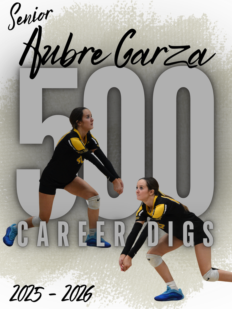 Aubre 500 digs