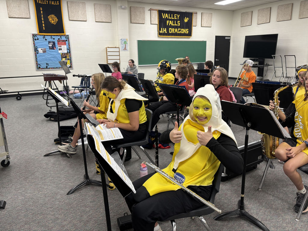 Twins in band class