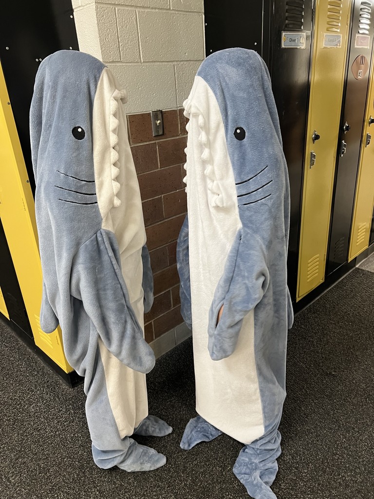 Dolphin Twins